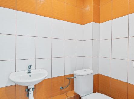 . | Prodej - dům/vila, 554 m²