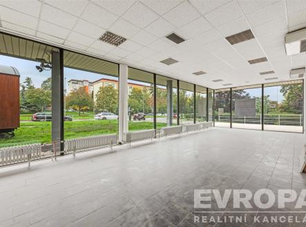 Pronájem - obchodní prostor, 95 m²