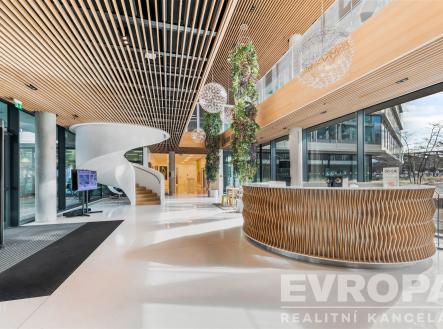 . | Pronájem - kanceláře, 670 m²