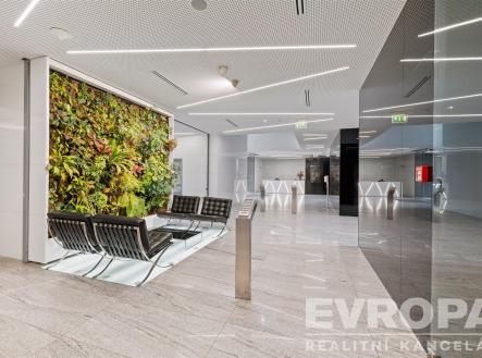 . | Pronájem - kanceláře, 733 m²