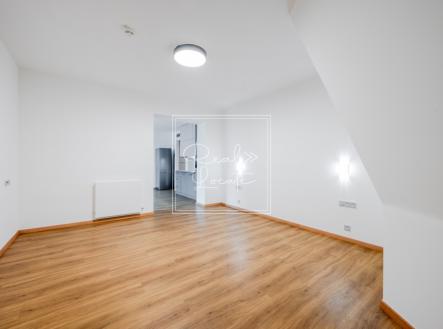 DSC_2704 | Pronájem bytu, 1+kk, 52 m²