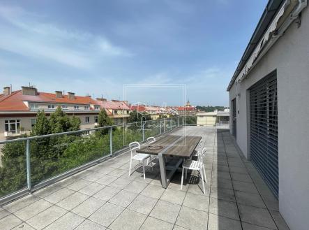 1724686074879 | Pronájem bytu, 3+kk, 184 m²