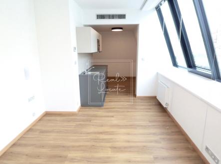 6AE880D6-4269-43D8-9D75-39AC141B3989 | Pronájem bytu, 1+kk, 31 m²