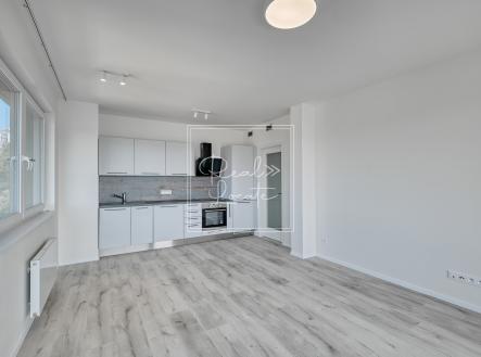 DSCF3620 | Pronájem bytu, 3+kk, 64 m²