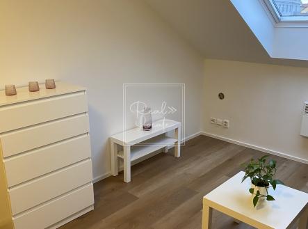 9E393542-82D3-4554-B24D-24D486E0FF95 | Pronájem bytu, 2+kk, 36 m²