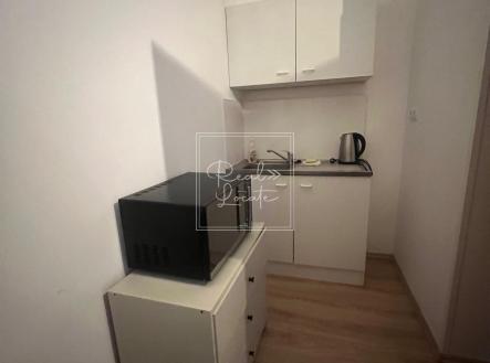 f5f804ca-7762-4f77-9190-f2fdfb95fc41 | Pronájem bytu, 1+kk, 20 m²