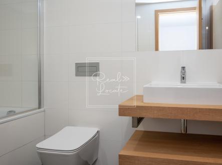 219AAC4A-C144-4FA1-AA12-8B80CE5DABC2 | Pronájem bytu, 1+kk, 30 m²