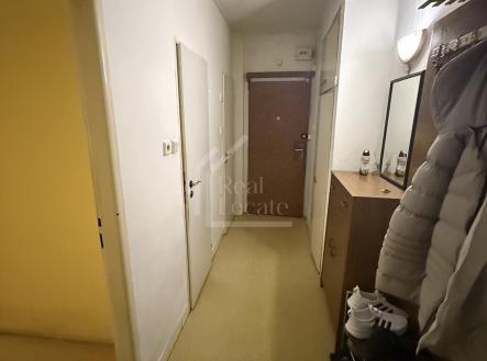 IMG_0056 | Pronájem bytu, 2+1, 53 m²