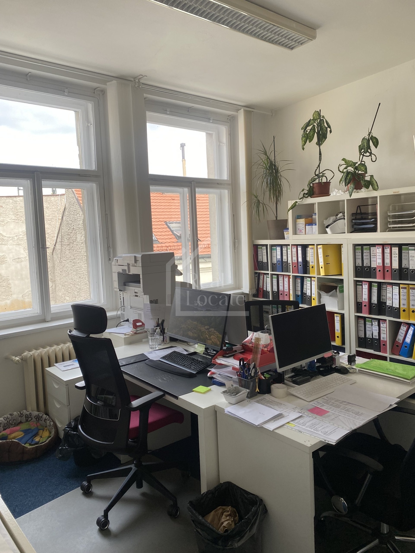 Pronájem, kancelářský prostor, 53 m2, Praha 1 - Nové Město