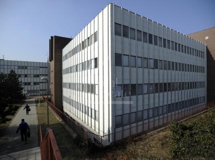 Pronájem - kanceláře, 12 m²