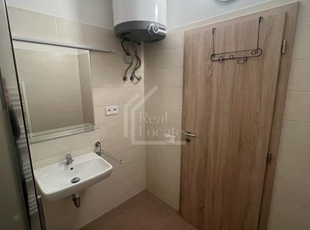 IMG_5084 | Pronájem bytu, 1+kk, 37 m²