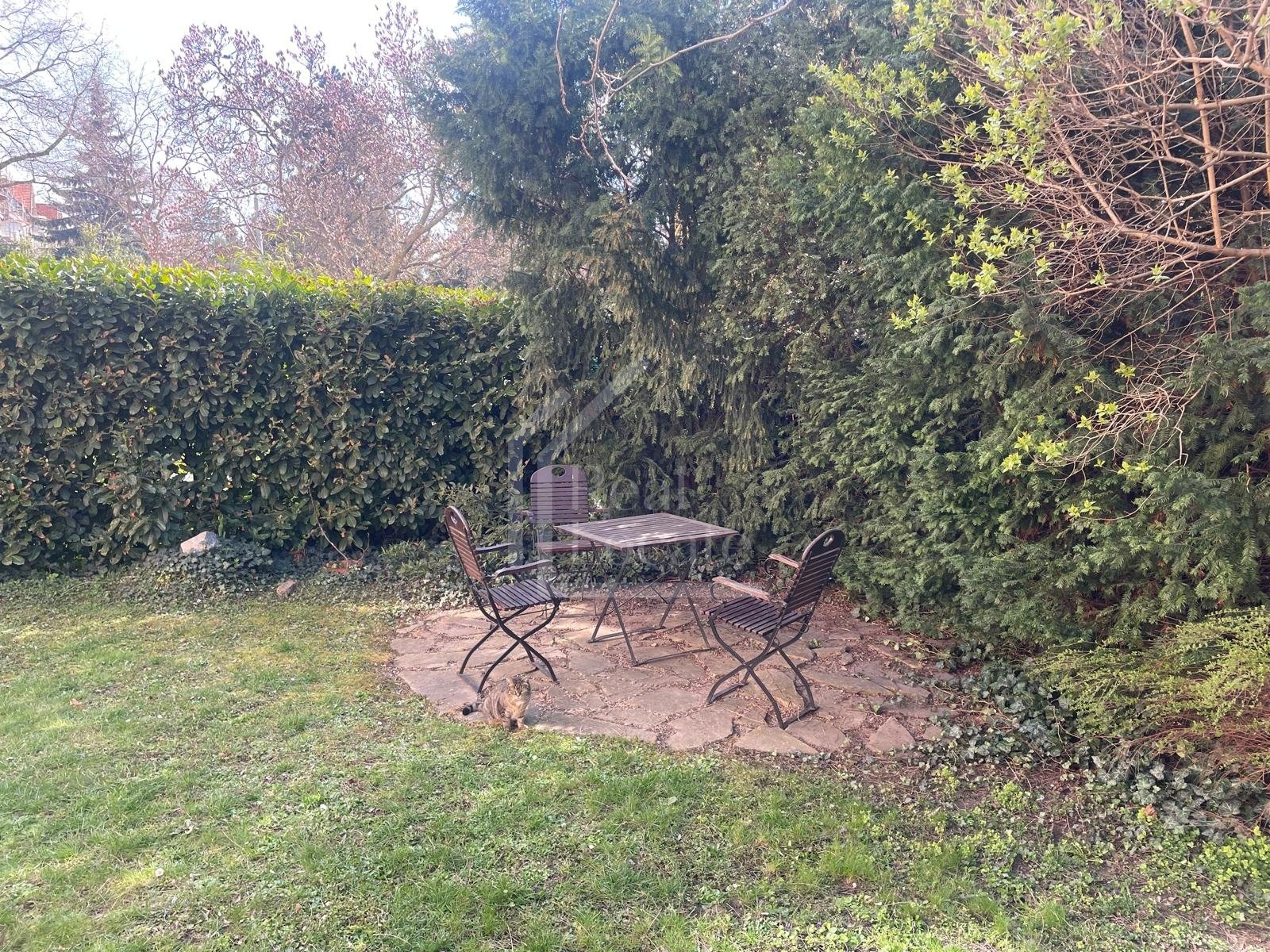 WhatsApp Image 2026-04-02 at 11.31.58