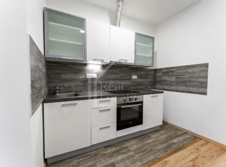 Pronájem bytu, 1+1, 48 m²