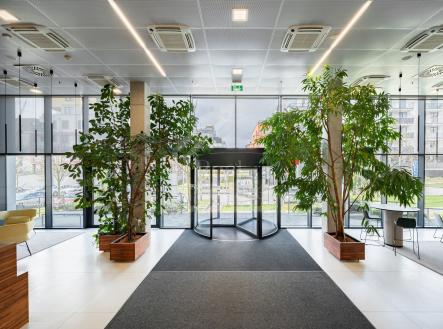 DMA_7250-HDR | Pronájem - kanceláře, 330 m²