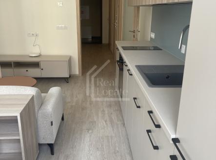 IMG_3136 | Pronájem bytu, 2+kk, 38 m²