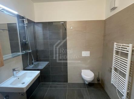 IMG_3906 | Pronájem bytu, 1+kk, 37 m²