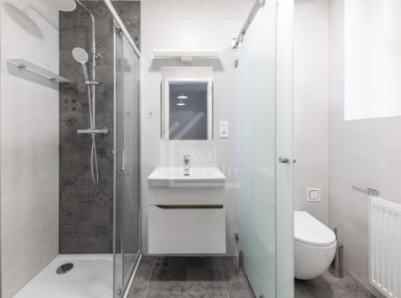IMG_6160 | Pronájem bytu, 1+kk, 37 m²