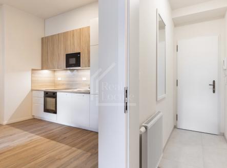 IMG_6159 | Pronájem bytu, 1+kk, 37 m²