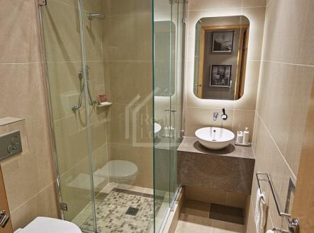 pronajem-byt-1-kk-29-m2-praha-7-holesovice-download-46-7cc2cd | Pronájem bytu, 1+1, 33 m²