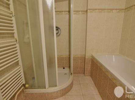 1. NP koupelna s vanou a sprchovým koutem vytápěná otopným žebříkem
