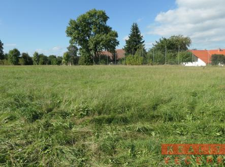 P1033730 | Prodej - pozemek pro bydlení, 2 476 m²