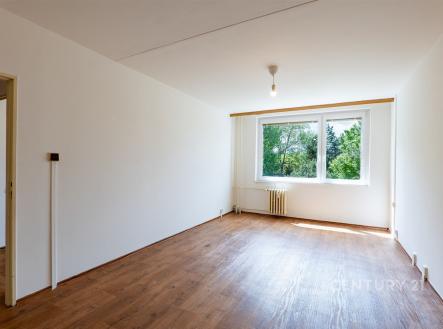 . | Pronájem bytu, 3+kk, 66 m²