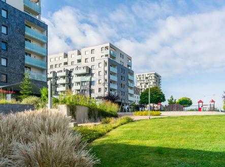 dsc-0002.jpg | Pronájem bytu, 2+kk, 60 m²