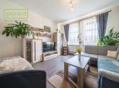 Prodej bytu, 1+1, 57 m²
