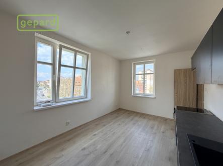 img-5117.jpeg | Pronájem bytu, 1+1, 55 m²