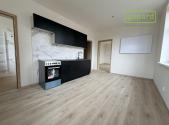 Pronájem bytu, 1+1, 55 m²