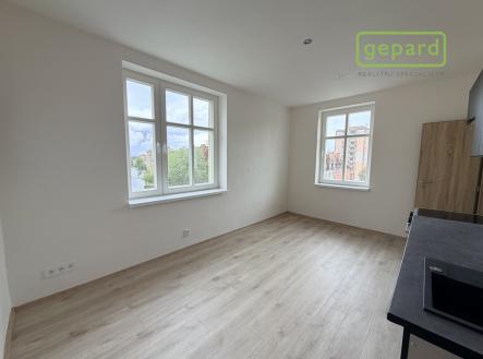 img-5676.jpeg | Pronájem bytu, 1+1, 55 m²