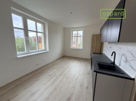 img-5673.jpeg | Pronájem bytu, 1+1, 55 m²