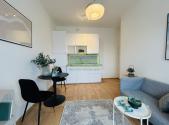 Pronájem bytu, 2+kk, 55 m²