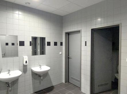 wc | Pronájem - kanceláře, 551 m²