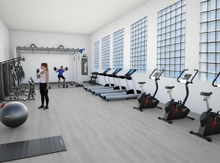 Varianta fittness | Pronájem - obchodní prostor, 300 m²