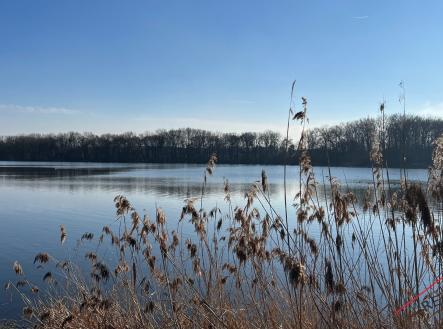 IMG_4498 | Prodej - dům/vila, 116 m²