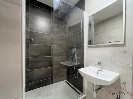 IMG_5013 | Pronájem bytu, 2+kk, 46 m²