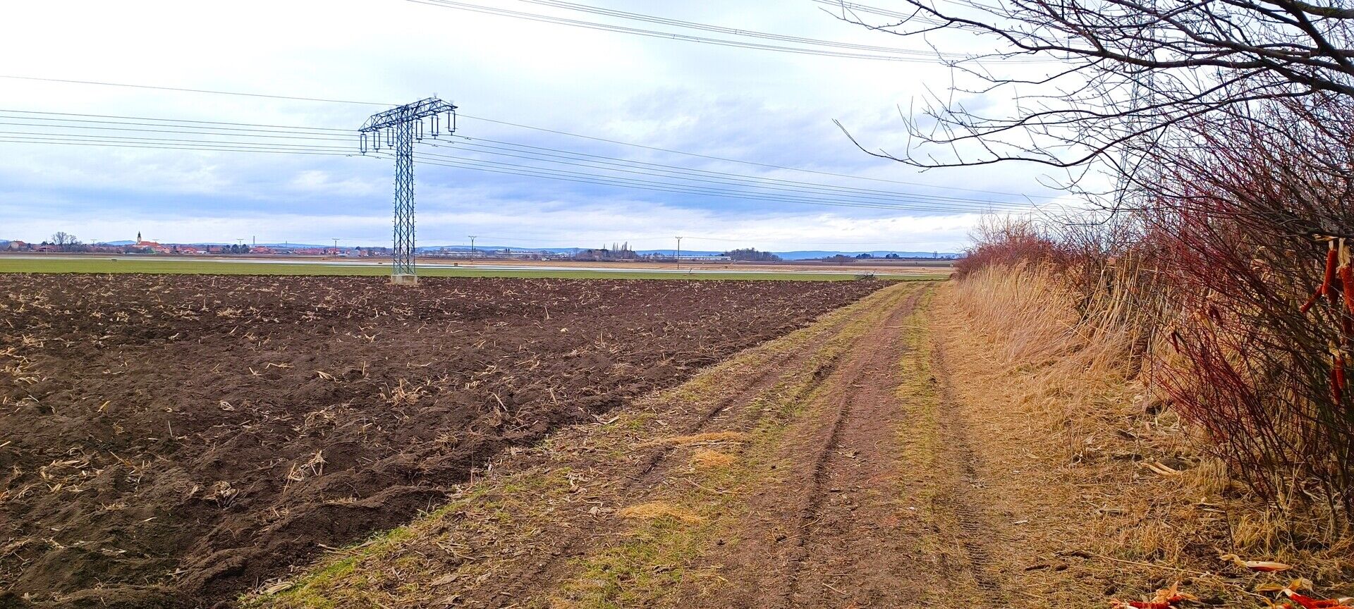 Prodej pole, Blučina 1146 m2