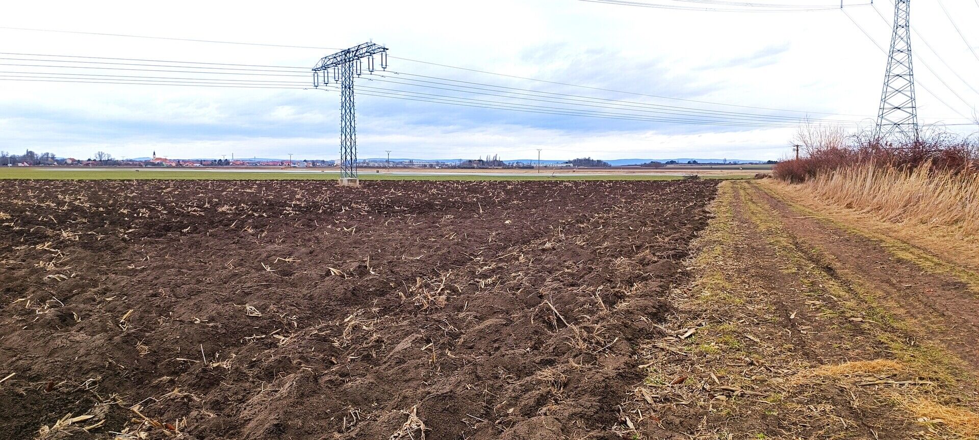 Prodej pole, Blučina 1146 m2