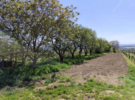 Prodej - pozemek, ostatní, 1 828 m²