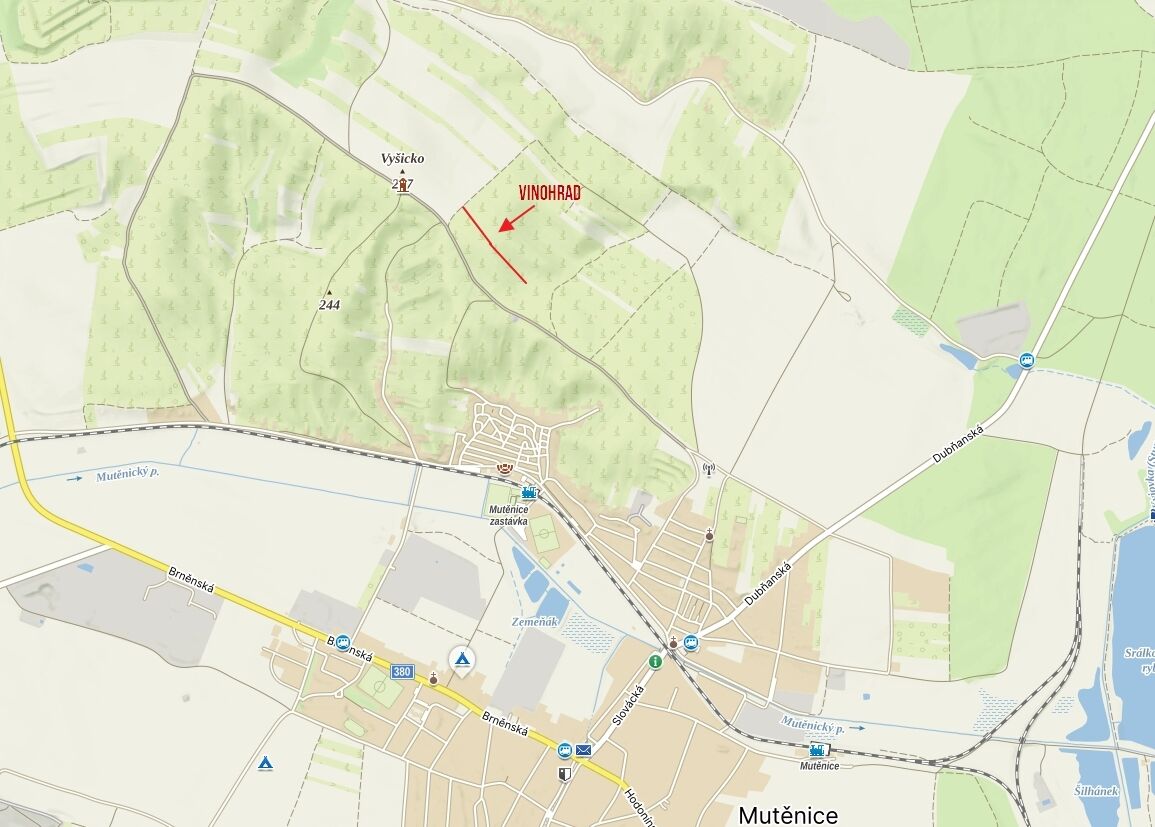 Prodej vinohradu v Mutěnicích 1828 m2