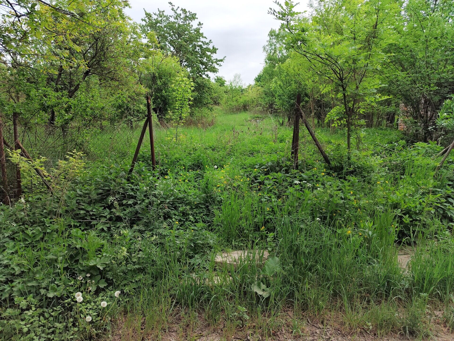 Prodej zahrady, Brněnské Ivanovice 1578 m2
