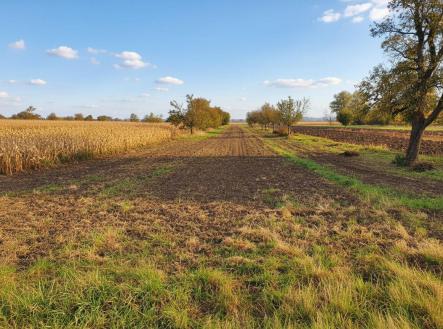 Prodej - pozemek, zahrada, 1 564 m²