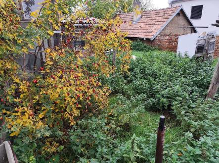 Prodej - dům/vila, 125 m²