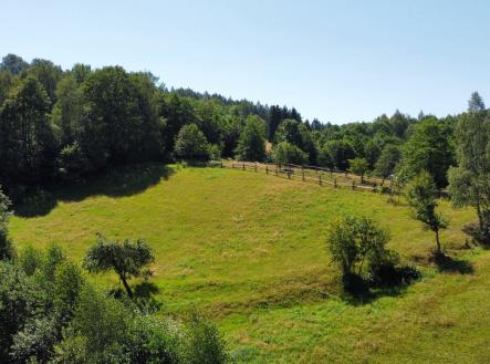 Prodej pozemku 4 589 m² - Olešnice v Orlických horách | Prodej - pozemek pro bydlení, 4 589 m²