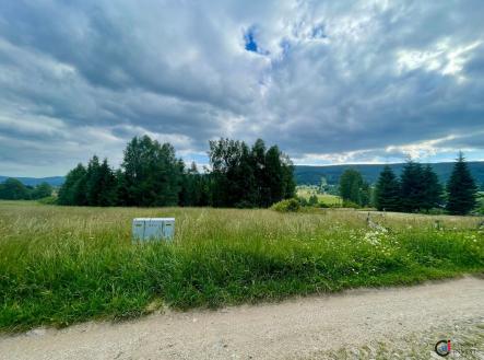 Prodej pozemku pro bydlení, 3 001 m² - Orlické Záhoří | Prodej - pozemek pro bydlení, 3 001 m²