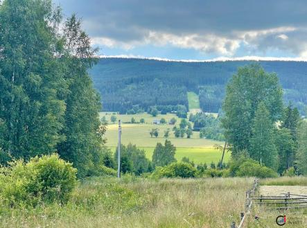 Prodej pozemku pro bydlení, 3 001 m² - Orlické Záhoří | Prodej - pozemek pro bydlení, 3 001 m²