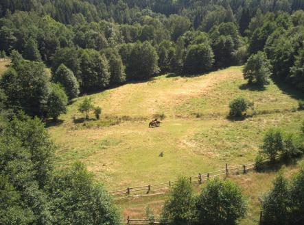 Prodej pozemku 3 446 m² - Olešnice v Orlických horách | Prodej - pozemek pro bydlení, 3 446 m²