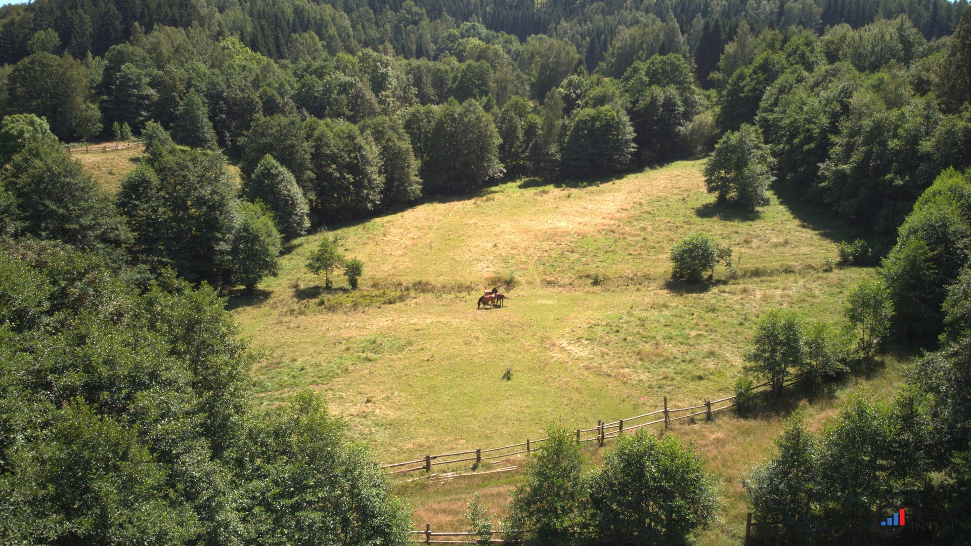 Prodej pozemku 3 446 m² - Olešnice v Orlických horách
