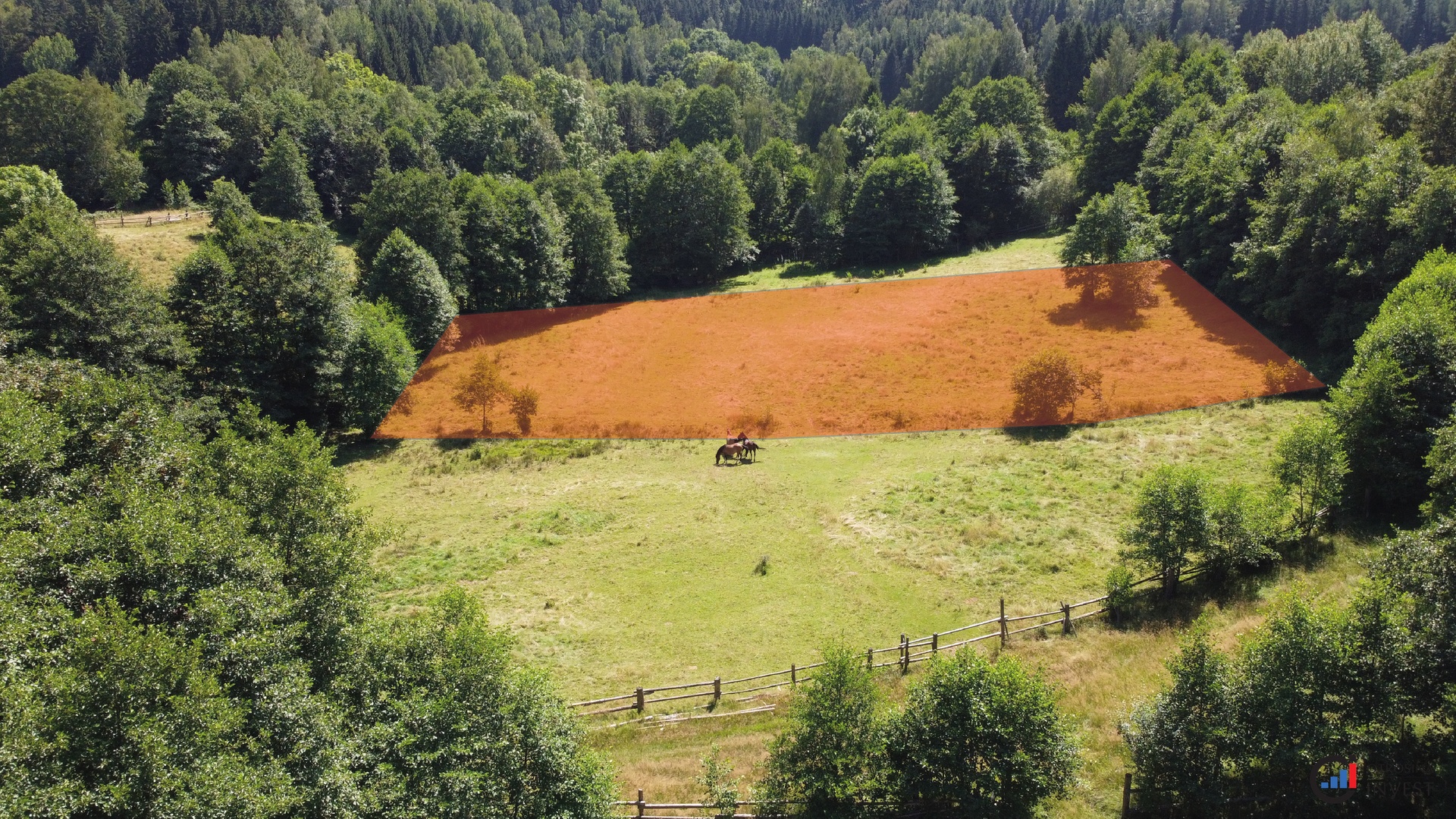 Prodej pozemku 3 446 m² - Olešnice v Orlických horách